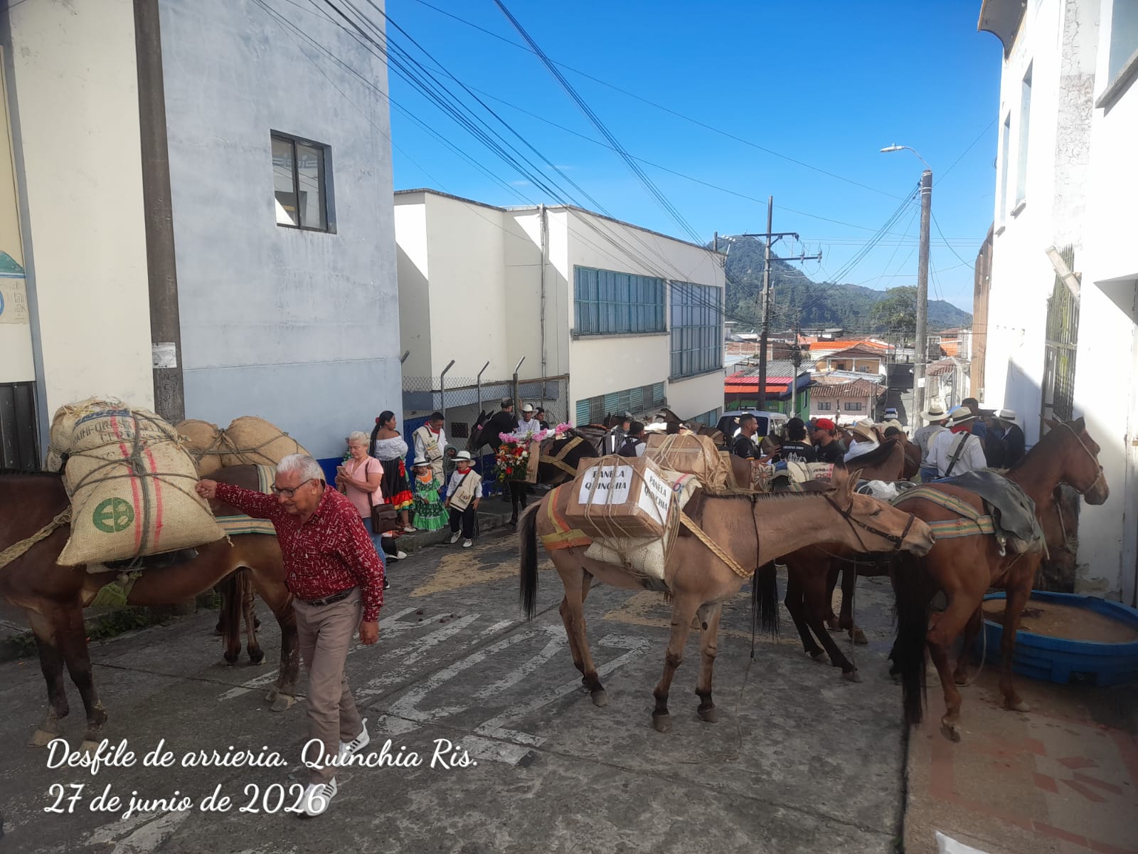 Arriería 02